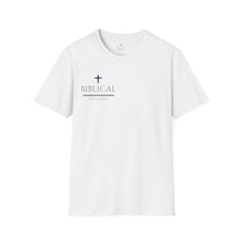 Load image into Gallery viewer, Isaiah 41:13 T-Shirt White, Grey &amp; Sand
